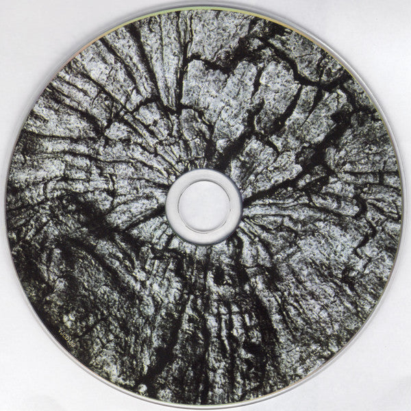 Mr. David Viner : Among The Rumours And The Rye (CD, Album)