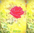 Lambchop : Trip (CD, Album)