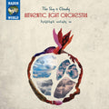 Authentic Light Orchestra : The Sky Is Cloudy (CD, Album)