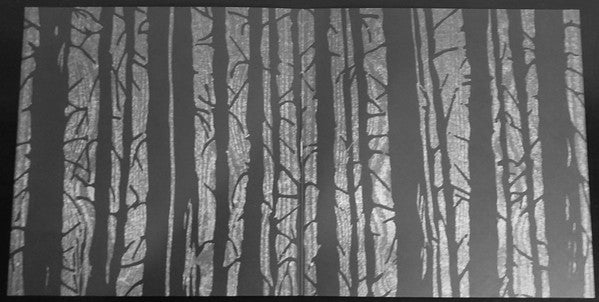 Paysage D'Hiver : Im Traum (10", EP, Ltd)