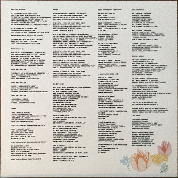 Partner (3) : Never Give Up (LP, Album, Ltd)