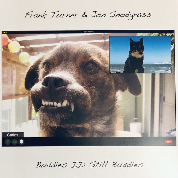 Frank Turner & Jon Snodgrass : Buddies II: Still Buddies (LP, Album)