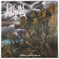 Lie In Ruins : Floating in Timeless Streams (LP, Album)