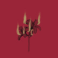 Hyrgal : Fin De Règne (CD, Album)