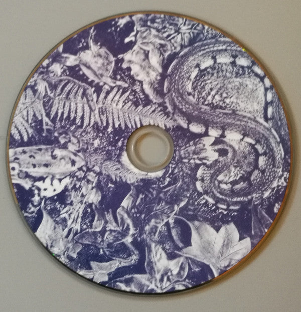 Bysshe : FOREVER IN THE EYE OF CHANGE (CD, Album)