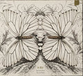 A Bu : Butterflies Fly in Pairs (CD, Album + DVD-V)