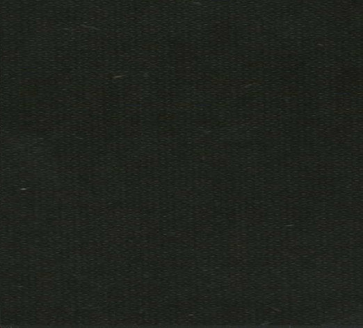 Nikki Loy : Pivotal (CD, Album, Dlx)