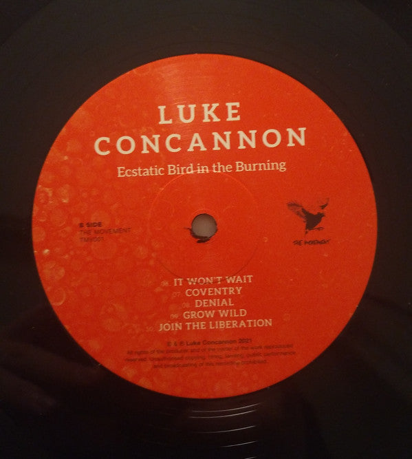 Luke Concannon : Ecstatic Bird In The Burning (LP)