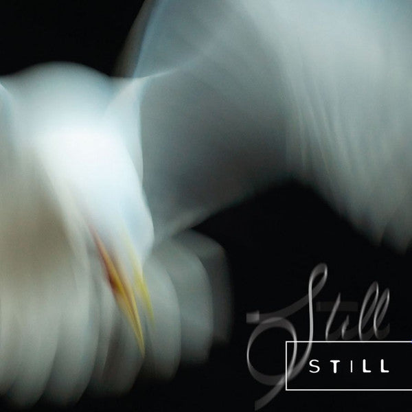 Aria Rostami & Daniel Blomquist : Still (CD, Album, Ltd)