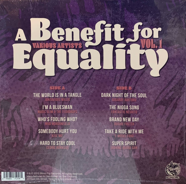 Various : A Benefit For Equality Vol. 1 (LP, Comp, Ltd)