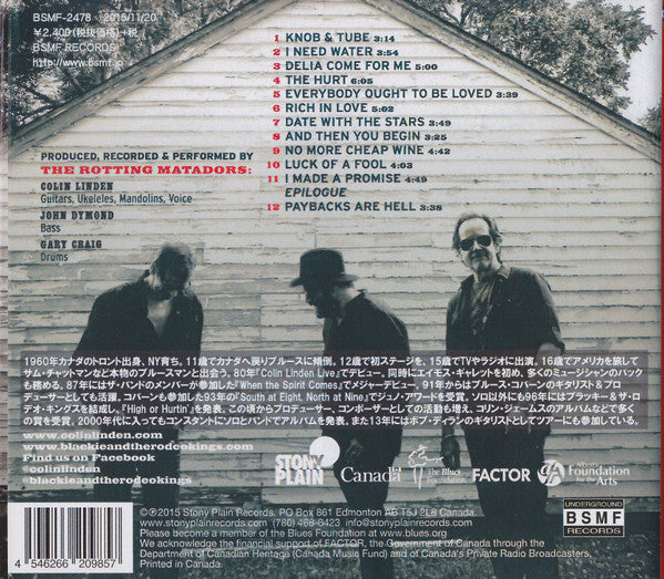 Colin Linden : Rich In Love (CD, Album)