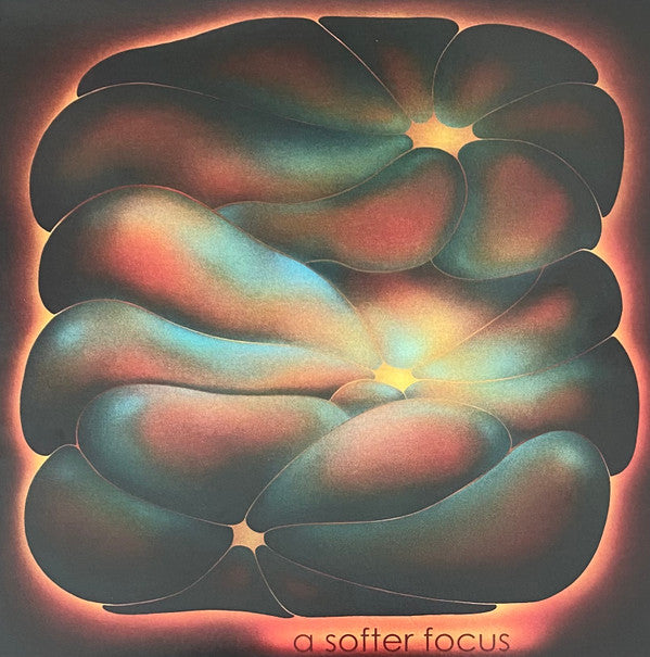 Claire Rousay : A Softer Focus (LP, Album)