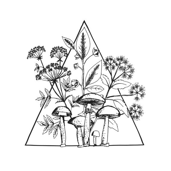 Les Conversions : Cassette  (LP, Album, RE)