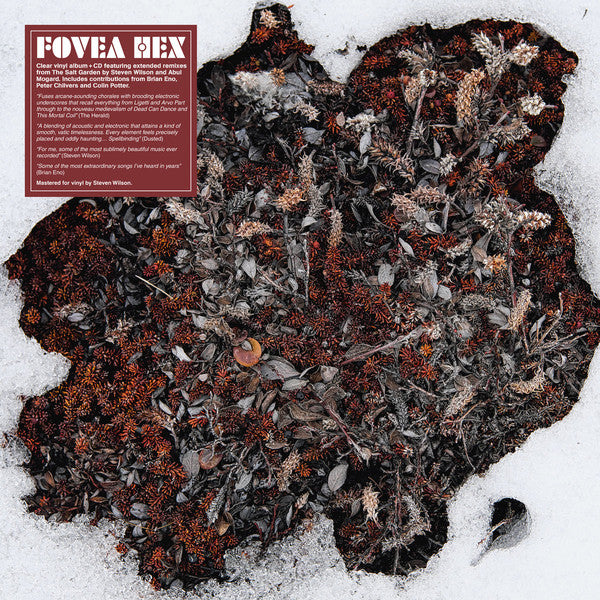 Fovea Hex : The Salt Garden (Landscaped) (LP, Album, Comp, Cle + CD, Comp,  )