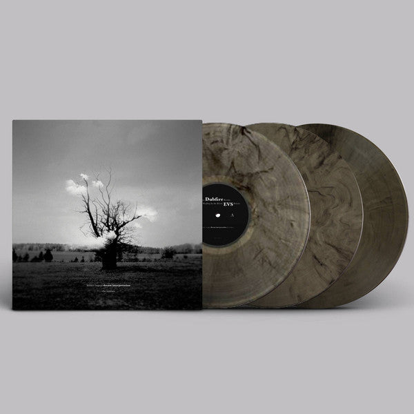 Kazuya Nagaya : Dream Interpretation (The Remixes) (3x12", Album, Bro)