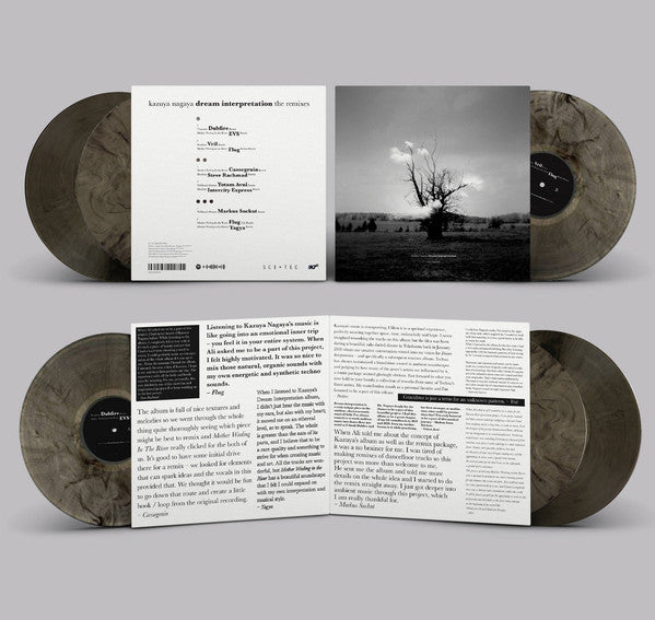 Kazuya Nagaya : Dream Interpretation (The Remixes) (3x12", Album, Bro)