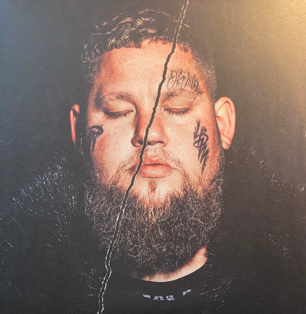 Rag'n'Bone Man : Life By Misadventure  (2xLP, Album)