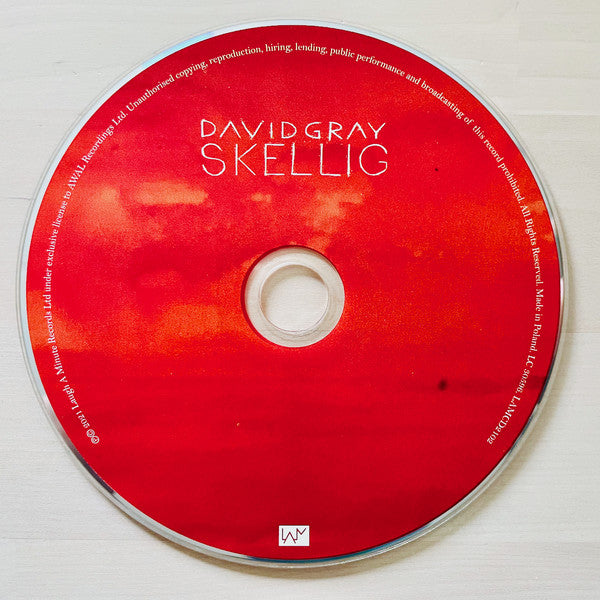 David Gray : Skellig (CD, Album)