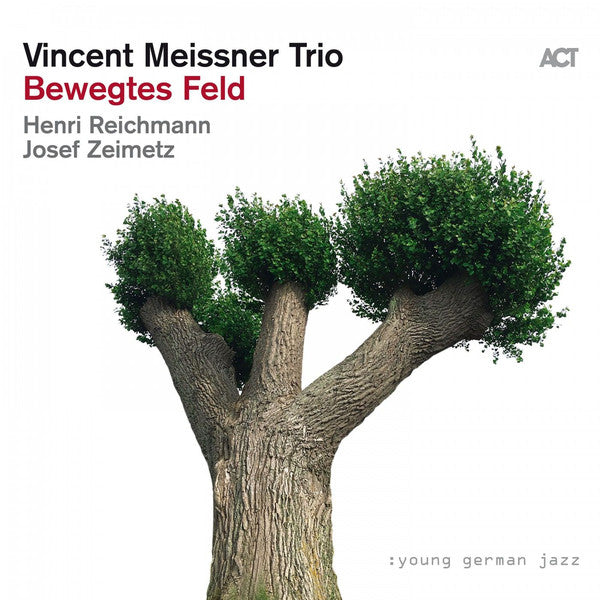 Vincent Meissner Trio : Bewegtes Feld (CD, Album)