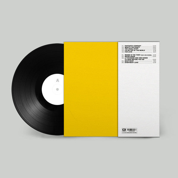 My Name Is Ian : Fantastic Company (LP)