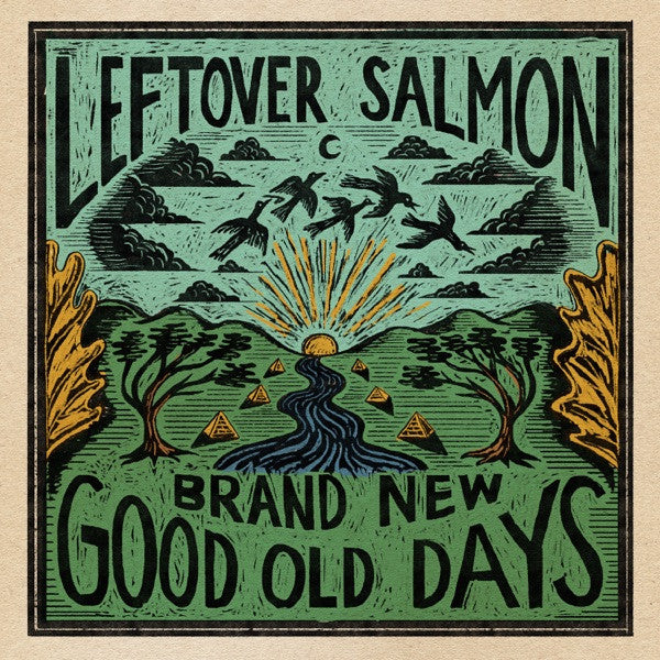 Leftover Salmon : Brand New Good Old Days (CD, Album)
