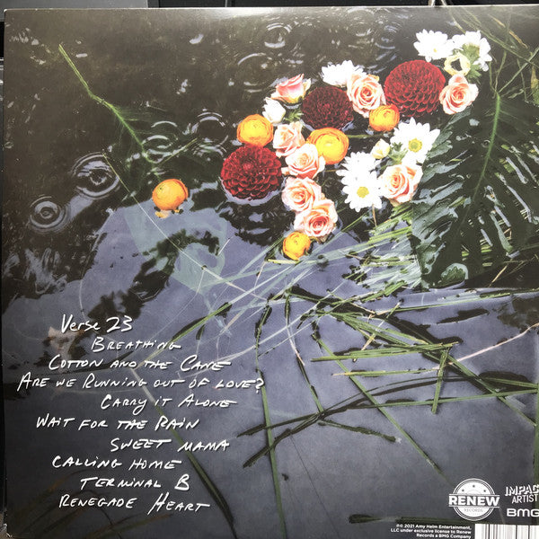 Amy Helm : What The Flood Leaves Behind (LP, Album)