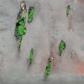 Koreless : Agor (CD, Album)