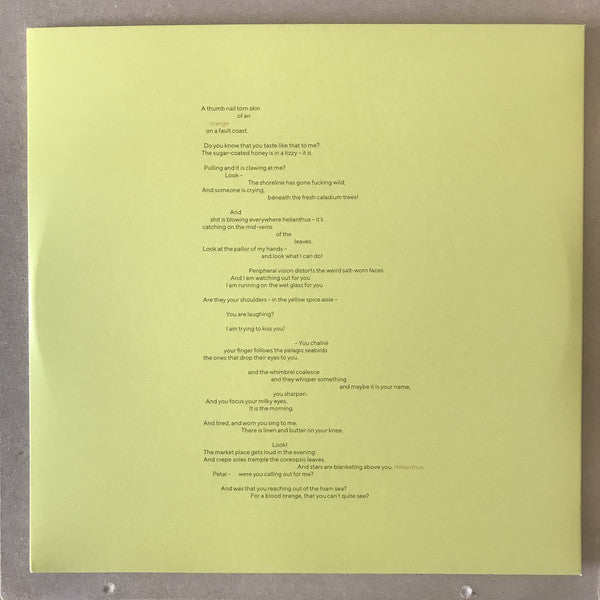 Stephen Fretwell : Busy Guy (LP, Album, 180)