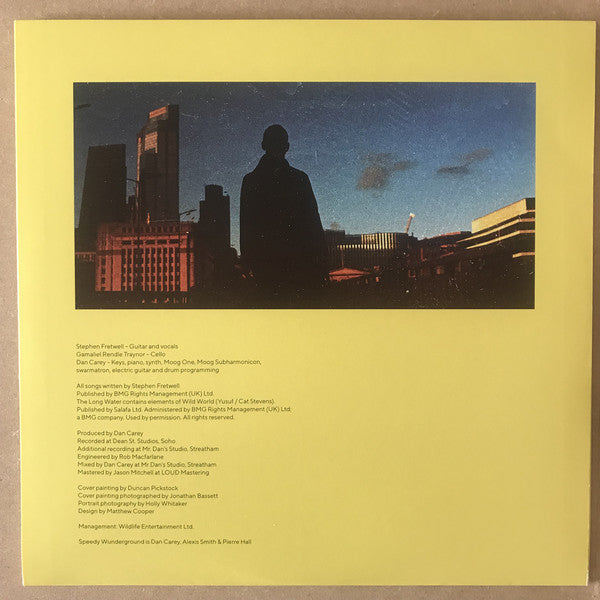 Stephen Fretwell : Busy Guy (LP, Album, 180)