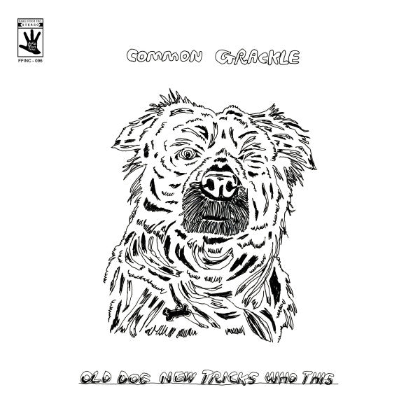 Common Grackle : Old Dog New Tricks Who This (LP, Album)