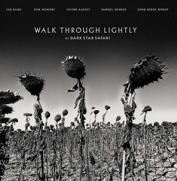 Dark Star Safari : Walk Through Lightly (LP, Album, Ltd)
