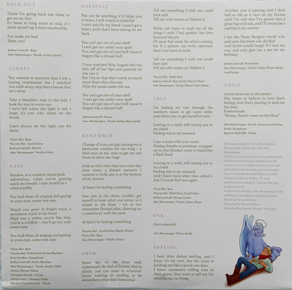Skirts (3) : Great Big Wild Oak (LP, Album, Cle)