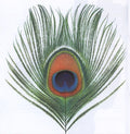 XTC : Apple Venus : Volume One (CD, Album, RE)