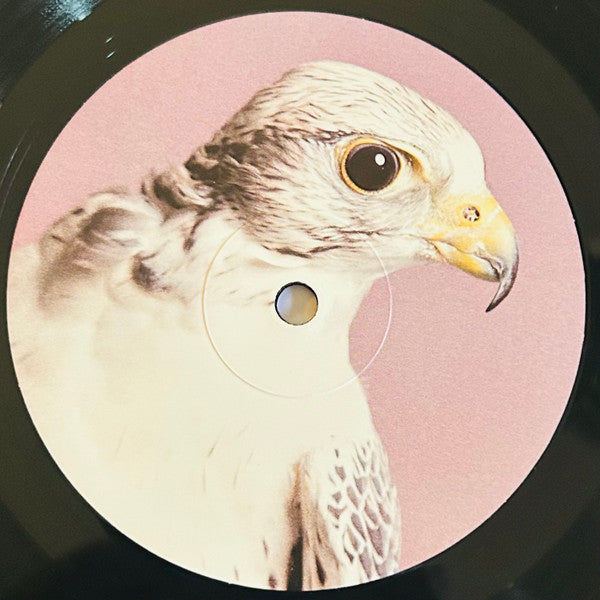 James Vincent McMorrow : Grapefruit Season (LP, Album)