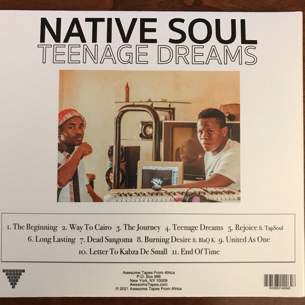 Native Soul (7) : Teenage Dreams (CD, Album)