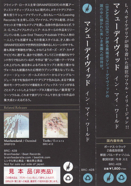 MatthewDavid : In My World (CD, Album, Promo)