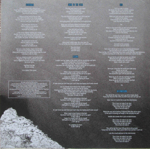 Reb Fountain : Iris (LP, Album)