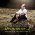 Gottlieb Wallisch, Joseph Haydn : The London Sonatas (SACD, Hybrid, Multichannel, Album)