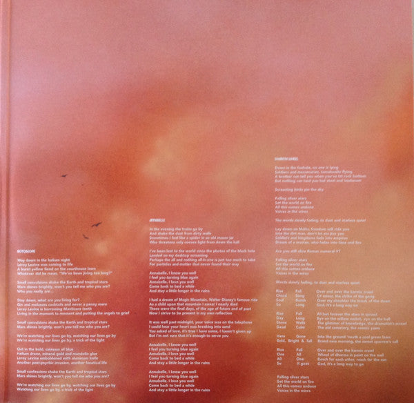 Howlin Rain : The Dharma Wheel (2xLP, Album, Ltd)