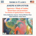 Joseph Schwantner - Holst-Sinfonietta / Klaus Simon : Sparrows • Music Of Amber (CD)
