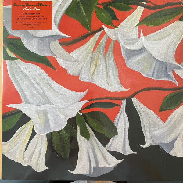 Danny George Wilson : Another Place (LP, Album)