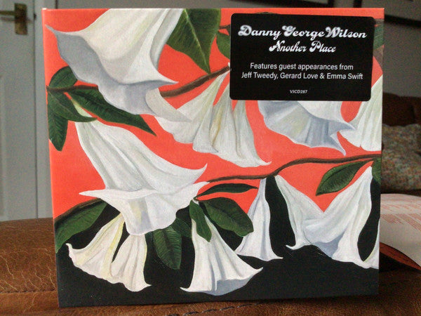 Danny George Wilson : Another Place (CD, Album)