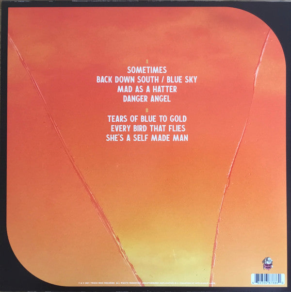 Larkin Poe & Nu Deco Ensemble : Paint The Roses (LP, Album, Ora)
