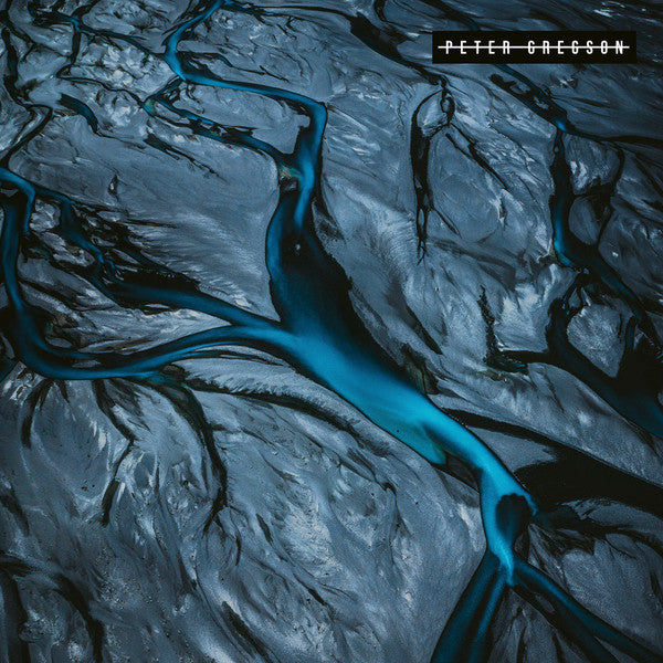 Peter Gregson : Patina (LP, Album)