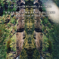 Iro Haarla Electric Ensemble : What Will We Leave Behind - Images From Planet Earth (CD, Album)