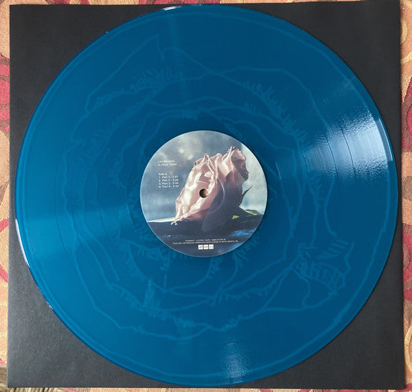 Lee Ranaldo : In Virus Times (LP, S/Sided, Etch, Ltd, Sig)