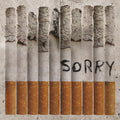 Totally Unicorn : Sorry (CD, Album, Dig)
