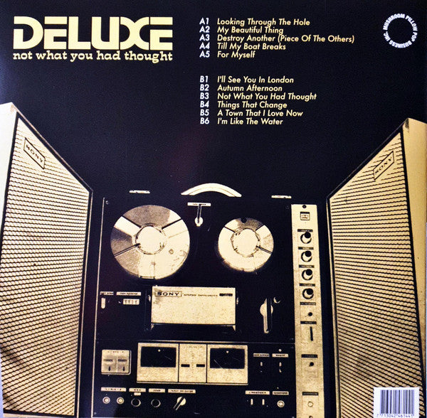 Deluxe (11) : Not What You Had Thought (LP, Album, Ltd, RE, Sil)