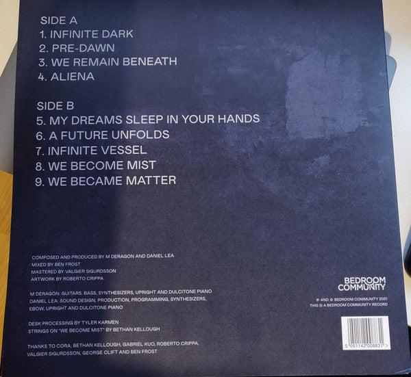 Heliochrysum : We Become Mist (LP, Album)