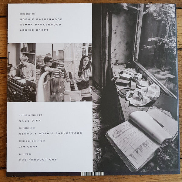Haiku Salut : The Hill, The Light, The Ghost (LP, Album)